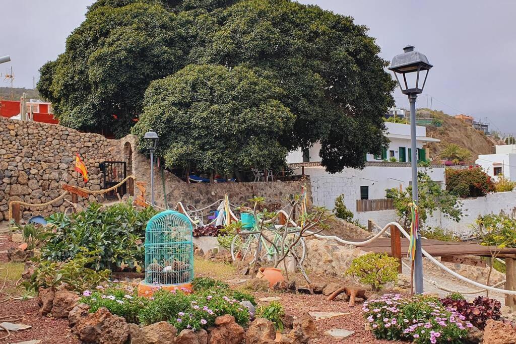La Bodeguita Apartamento Santo Domingo La Guancha المظهر الخارجي الصورة